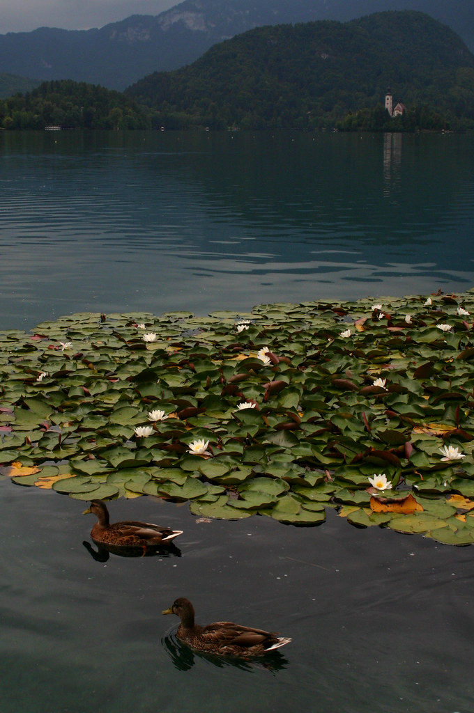 布莱德湖